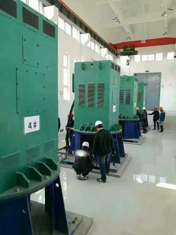 开江某污水处理厂使用我厂的立式高压电机安装现场